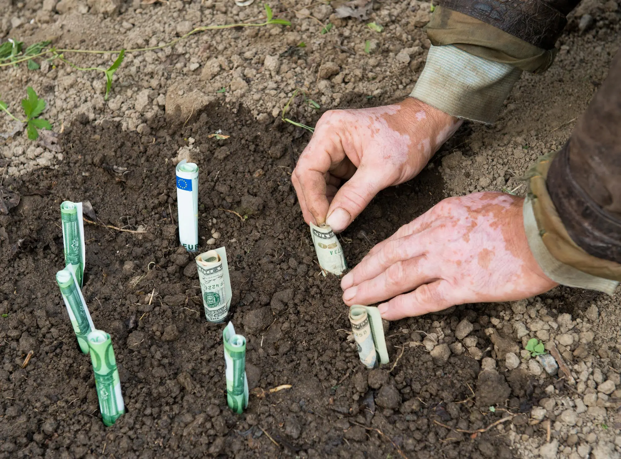 farmer-planting-money-euro-dollar-banknotes_246836-2640
